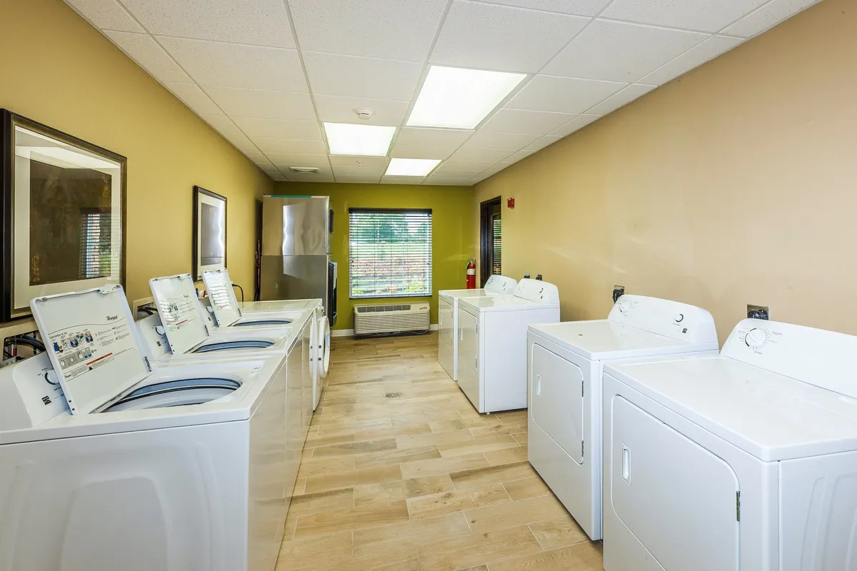 A practical, sunlit laundry area with modern washing machines and dryers, complemented by large windows that allow natural light to fill the space. The mood is functional and inviting, capturing the comforts of home.